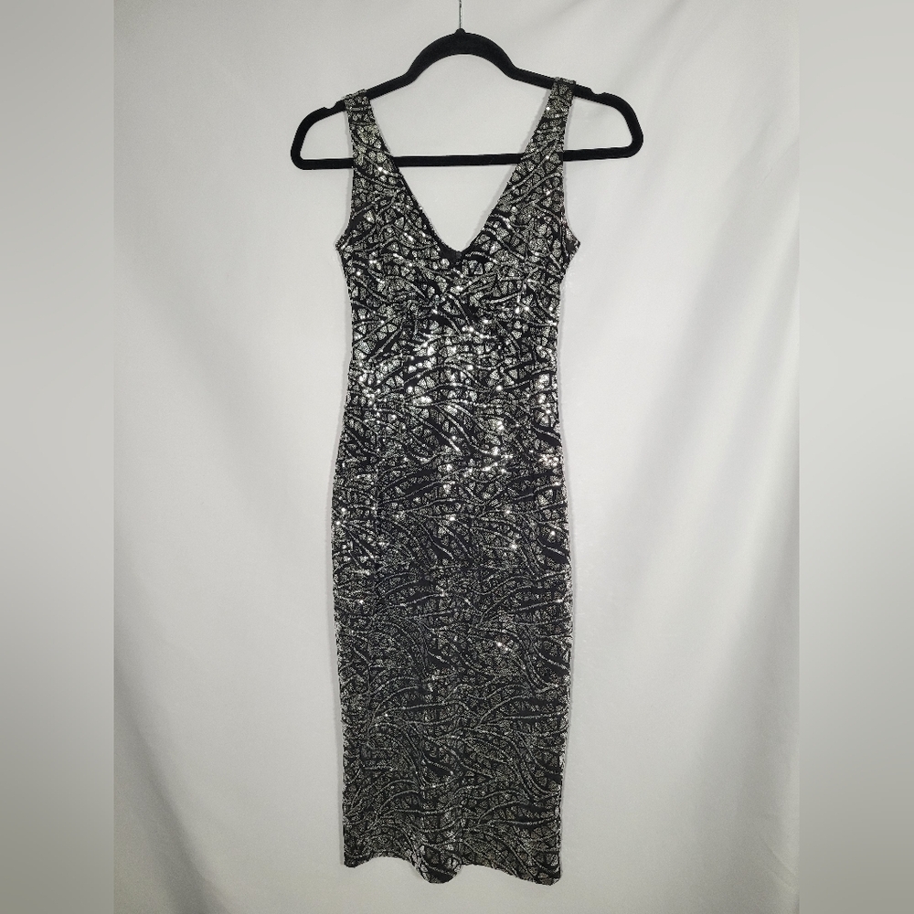 Tatyana Silver and Black Sequined Dress